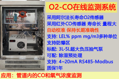 CO一氧化碳和O2氧氣在線監測系統-抗腐蝕、耐用、支持自動標定